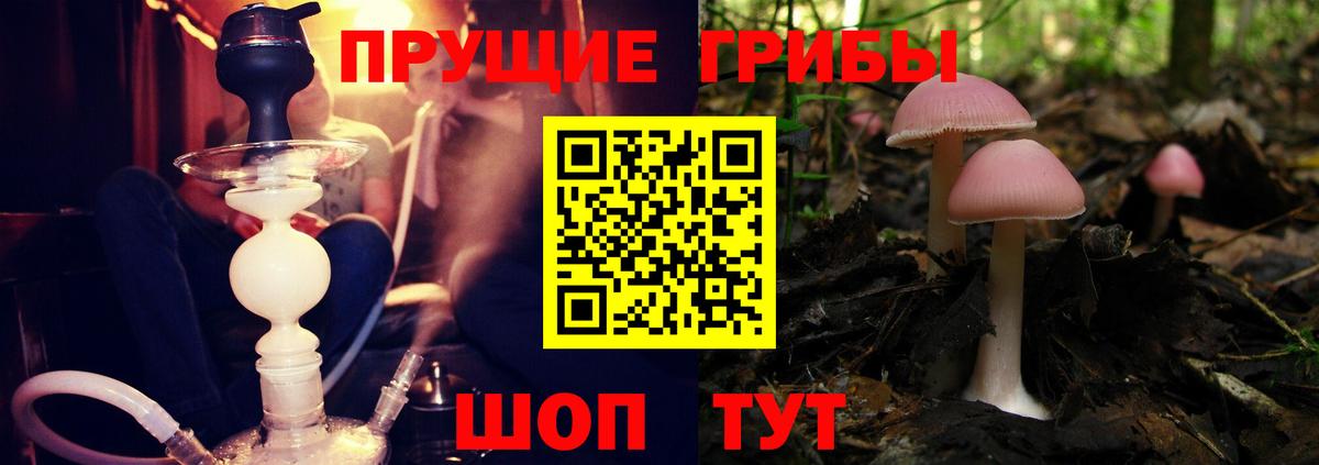 Галлюциногенные грибы GOLDEN TEACHER  Вход с VPN  купить наркоту  Тавда 